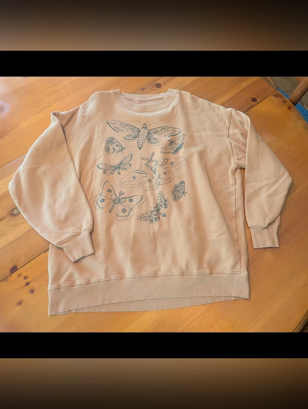 American Eagle Over-sized Moth Sketch Sweatshirt S